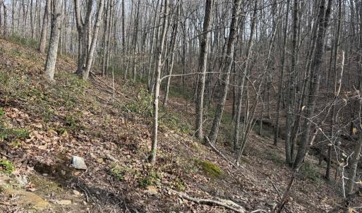 Photo #6 of Lime Plant Road, Appomattox, VA 16.7 acres