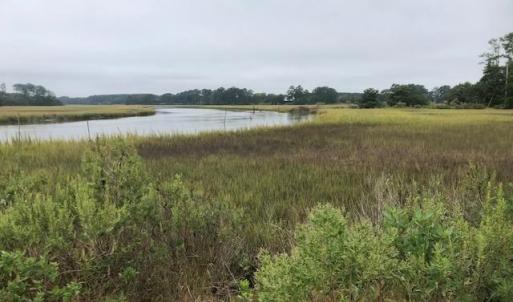 Photo #3 of FOX GROVE RD, PARKSLEY, VA 21.4 acres