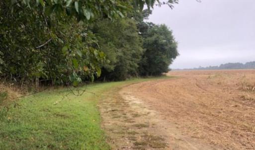 Photo #6 of FOX GROVE RD, PARKSLEY, VA 21.4 acres