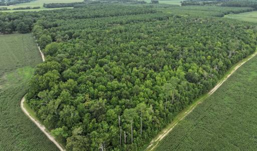 Photo #7 of FOX GROVE RD, PARKSLEY, VA 21.4 acres