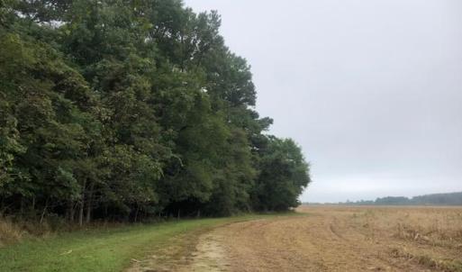 Photo #2 of FOX GROVE RD, PARKSLEY, VA 21.4 acres