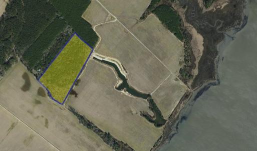 Photo #5 of FOX GROVE RD, PARKSLEY, VA 21.4 acres