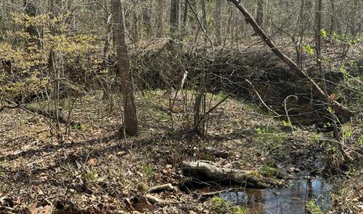 Photo #11 of Sanders Creek Rd, Dillwyn, VA 26.8 acres