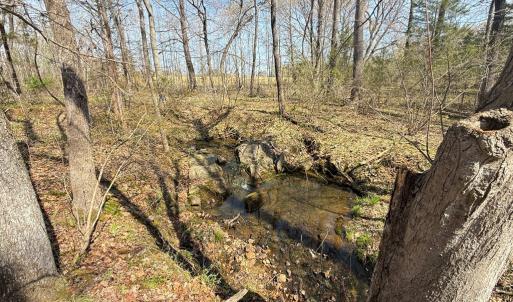 Photo #12 of Sanders Creek Rd, Dillwyn, VA 26.8 acres
