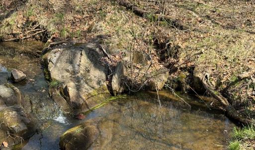 Photo #13 of Sanders Creek Rd, Dillwyn, VA 26.8 acres