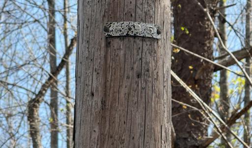 Photo #6 of Sanders Creek Rd, Dillwyn, VA 26.8 acres