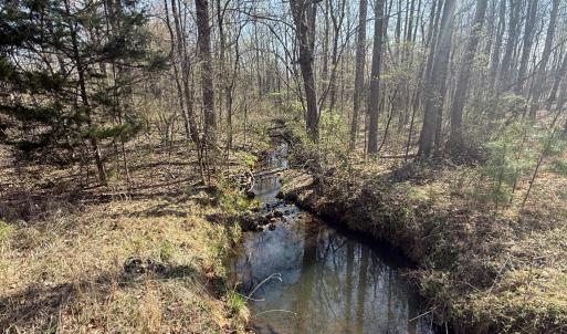 Photo #8 of Sanders Creek Rd, Dillwyn, VA 26.8 acres