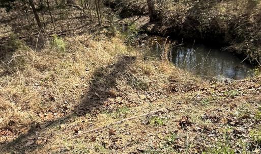 Photo #9 of Sanders Creek Rd, Dillwyn, VA 26.8 acres