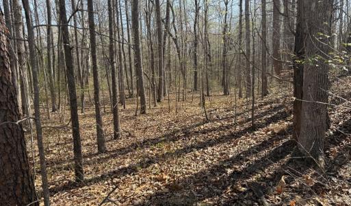 Photo #10 of Sanders Creek Rd, Dillwyn, VA 26.8 acres