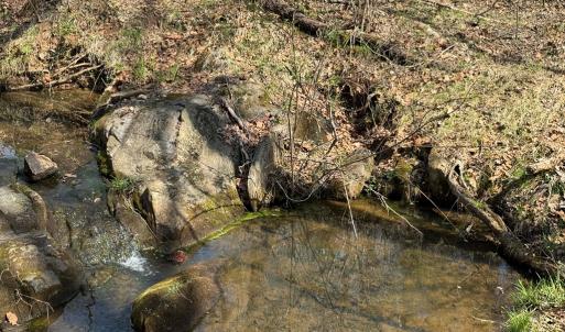 Photo #13 of Sanders Creek Rd, Dillwyn, VA 26.8 acres