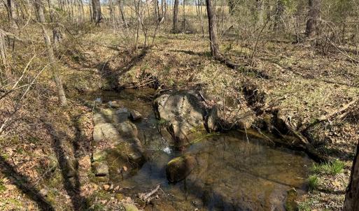 Photo #14 of Sanders Creek Rd, Dillwyn, VA 26.8 acres