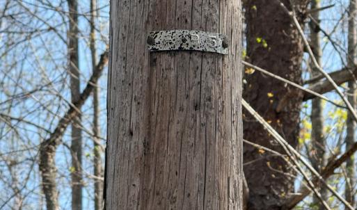 Photo #6 of Sanders Creek Rd, Dillwyn, VA 26.8 acres
