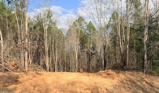 Photo #4 of Trinity Church Rd, South Hill, VA 3.9 acres