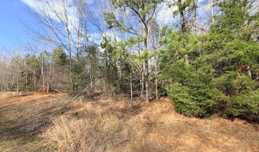 Photo #5 of Trinity Church Rd, South Hill, VA 3.9 acres