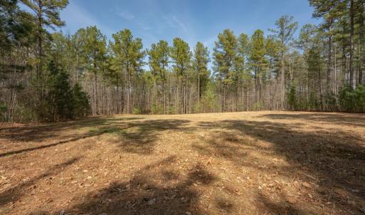 Photo #2 of Lakeside Rd, Prince Edward, VA 9.3 acres
