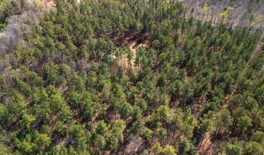 Photo #8 of Lakeside Rd, Prince Edward, VA 9.3 acres