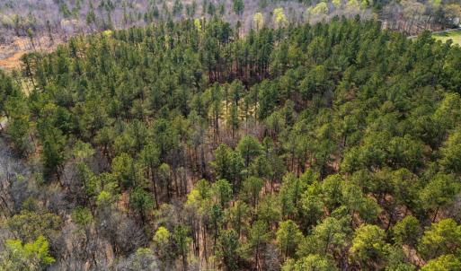 Photo #9 of Lakeside Rd, Prince Edward, VA 9.3 acres