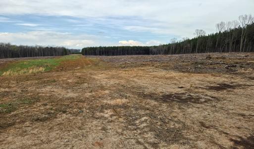 Photo #19 of 56 S James River Rd, Buckingham, VA 83.9 acres