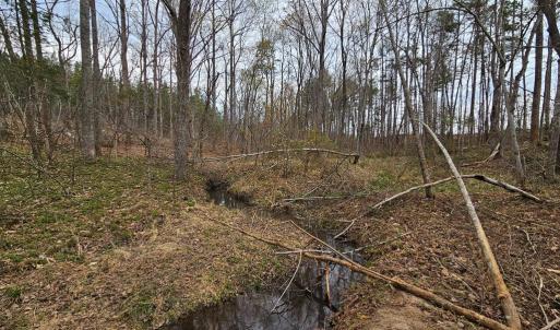 Photo #2 of 56 S James River Rd, Buckingham, VA 83.9 acres