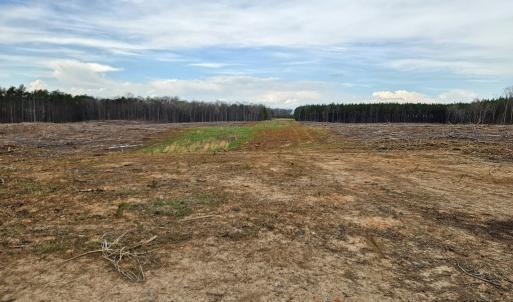 Photo #20 of 56 S James River Rd, Buckingham, VA 83.9 acres