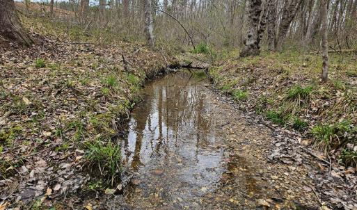 Photo #3 of 56 S James River Rd, Buckingham, VA 83.9 acres