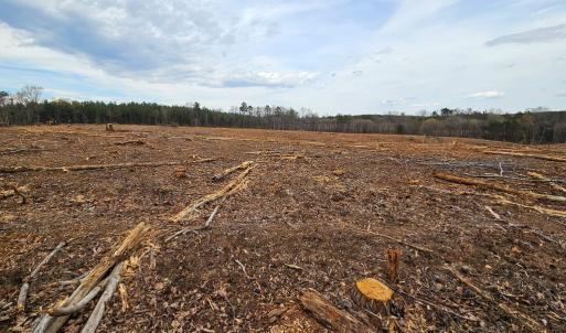 Photo #6 of 56 S James River Rd, Buckingham, VA 83.9 acres