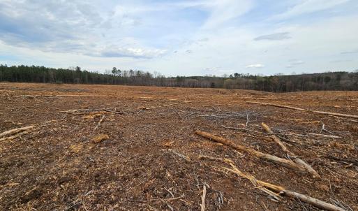 Photo #7 of 56 S James River Rd, Buckingham, VA 83.9 acres
