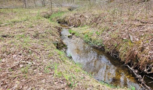 Photo #11 of 56 S James River Rd, Buckingham, VA 83.9 acres