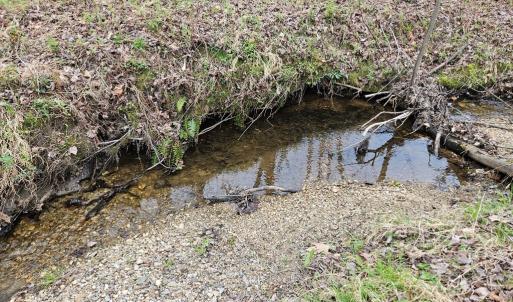 Photo #14 of 56 S James River Rd, Buckingham, VA 83.9 acres