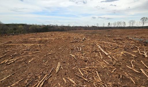 Photo #16 of 56 S James River Rd, Buckingham, VA 83.9 acres