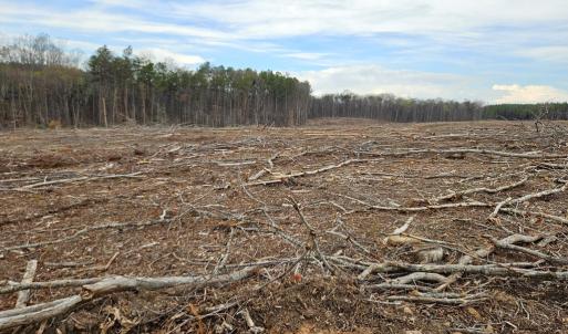 Photo #18 of 56 S James River Rd, Buckingham, VA 83.9 acres