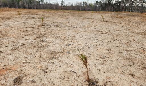 Photo #19 of 56 S James River Rd, Buckingham, VA 83.9 acres