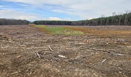 Photo #2 of 56 S James River Rd, Buckingham, VA 83.9 acres