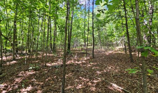 Photo #19 of 60 West James Anderson Hwy, Gladstone, VA 100.0 acres