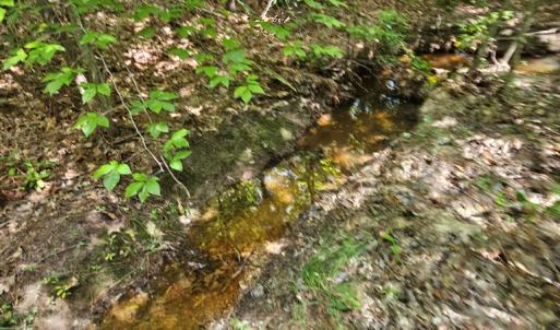 Photo #24 of 60 West James Anderson Hwy, Gladstone, VA 100.0 acres