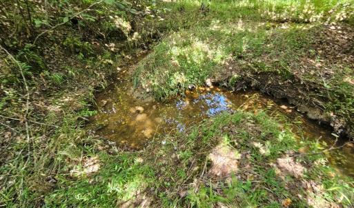 Creek