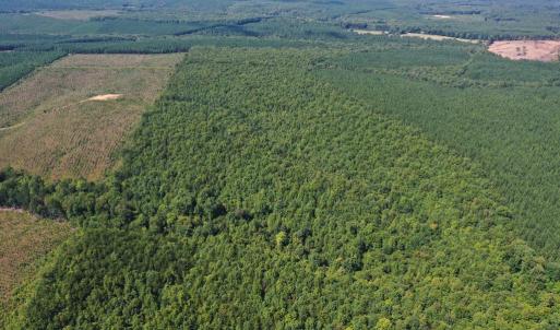 Photo #32 of 60 West James Anderson Hwy, Gladstone, VA 100.0 acres