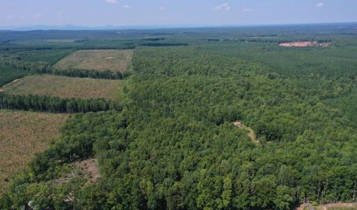 Photo #33 of 60 West James Anderson Hwy, Gladstone, VA 100.0 acres