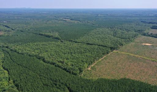 Photo #35 of 60 West James Anderson Hwy, Gladstone, VA 100.0 acres