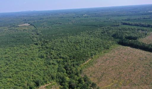 Photo #41 of 60 West James Anderson Hwy, Gladstone, VA 100.0 acres
