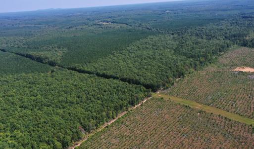 Photo #42 of 60 West James Anderson Hwy, Gladstone, VA 100.0 acres