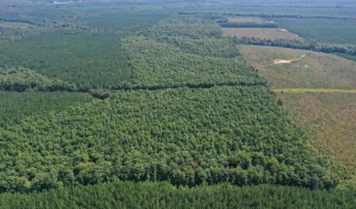 Photo #45 of 60 West James Anderson Hwy, Gladstone, VA 100.0 acres