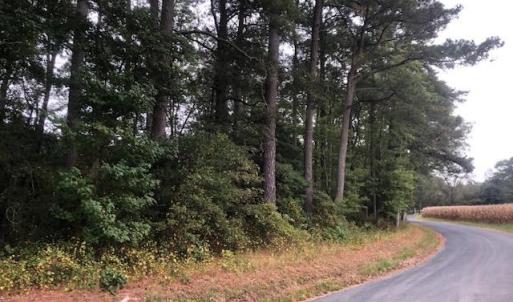 Photo #2 of FOX GROVE RD, PARKSLEY, VA 1.2 acres