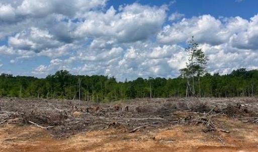 Photo #2 of Germantown Road, Keysville, VA 32.5 acres