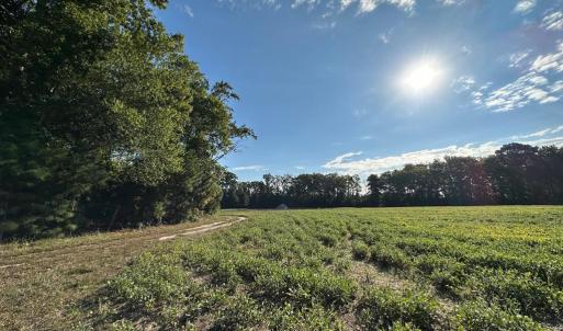 Photo #4 of Lot B1 CLAM COURT, BELLE HAVEN, VA 17.7 acres