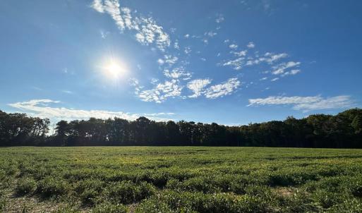 Photo #5 of Lot B1 CLAM COURT, BELLE HAVEN, VA 17.7 acres