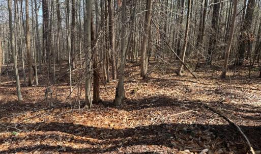 Photo #11 of Parsons Road, Ashland, VA 31.1 acres