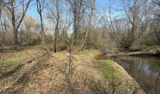Photo #14 of Parsons Road, Ashland, VA 31.1 acres