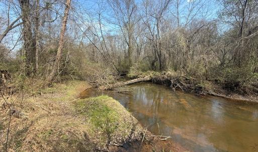 Photo #15 of Parsons Road, Ashland, VA 31.1 acres