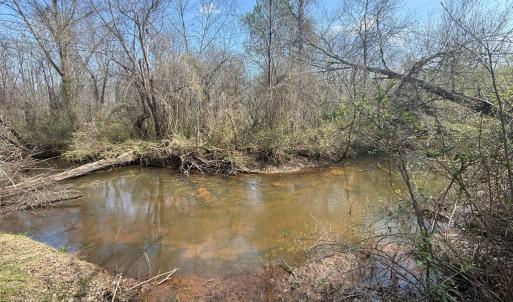 Photo #16 of Parsons Road, Ashland, VA 31.1 acres